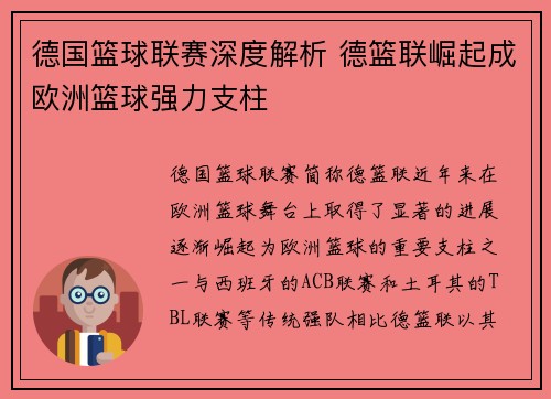 德国篮球联赛深度解析 德篮联崛起成欧洲篮球强力支柱